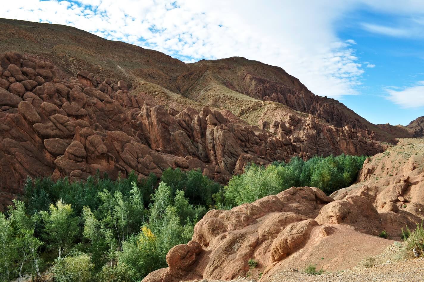 Monkey Fingers Dades Valley (1)
