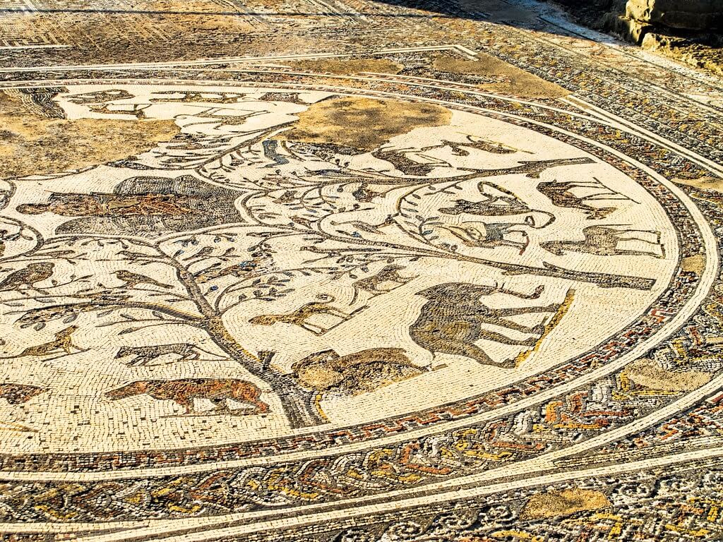 Volubilis mosiac (1)