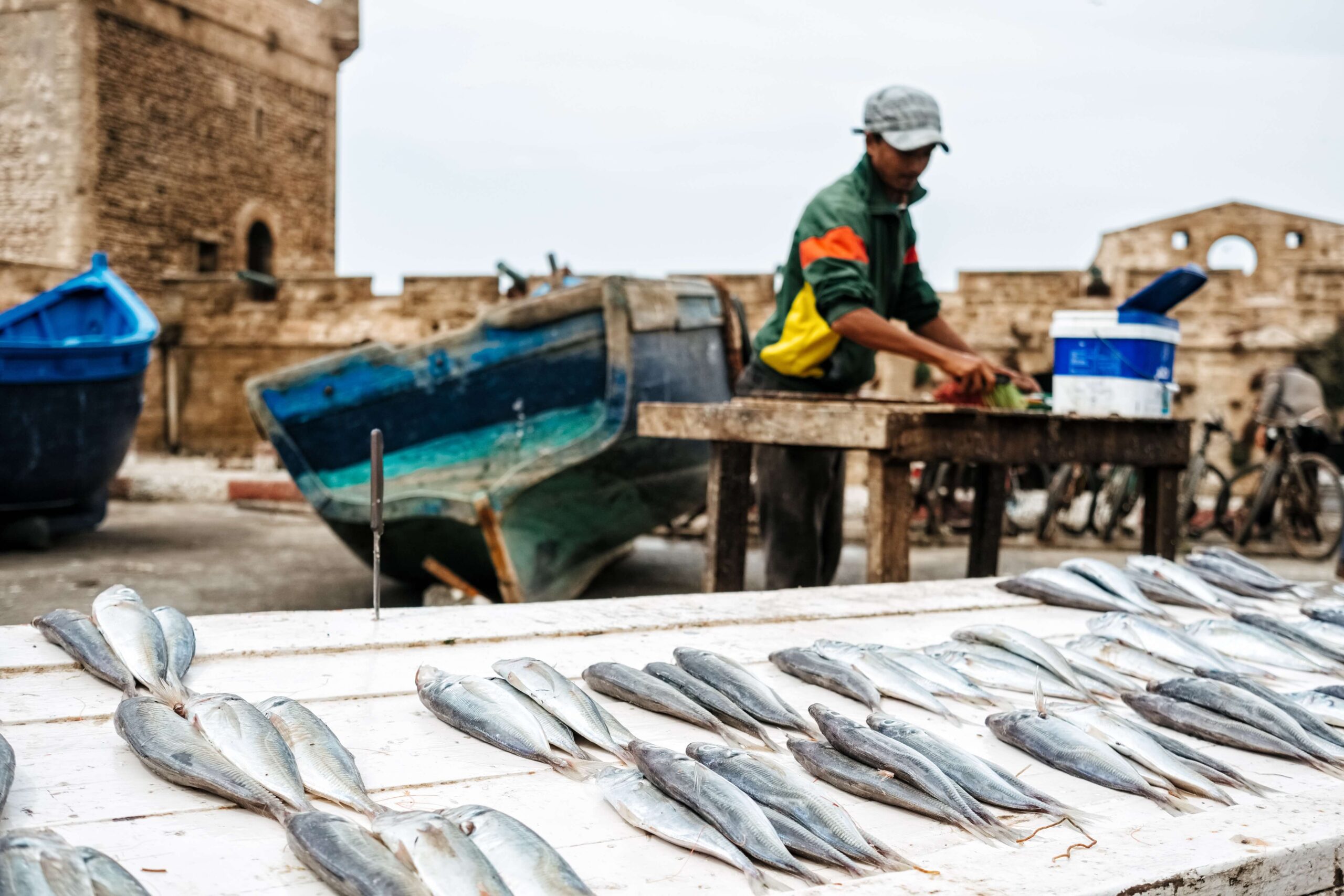 man-selling-fish-market (1)