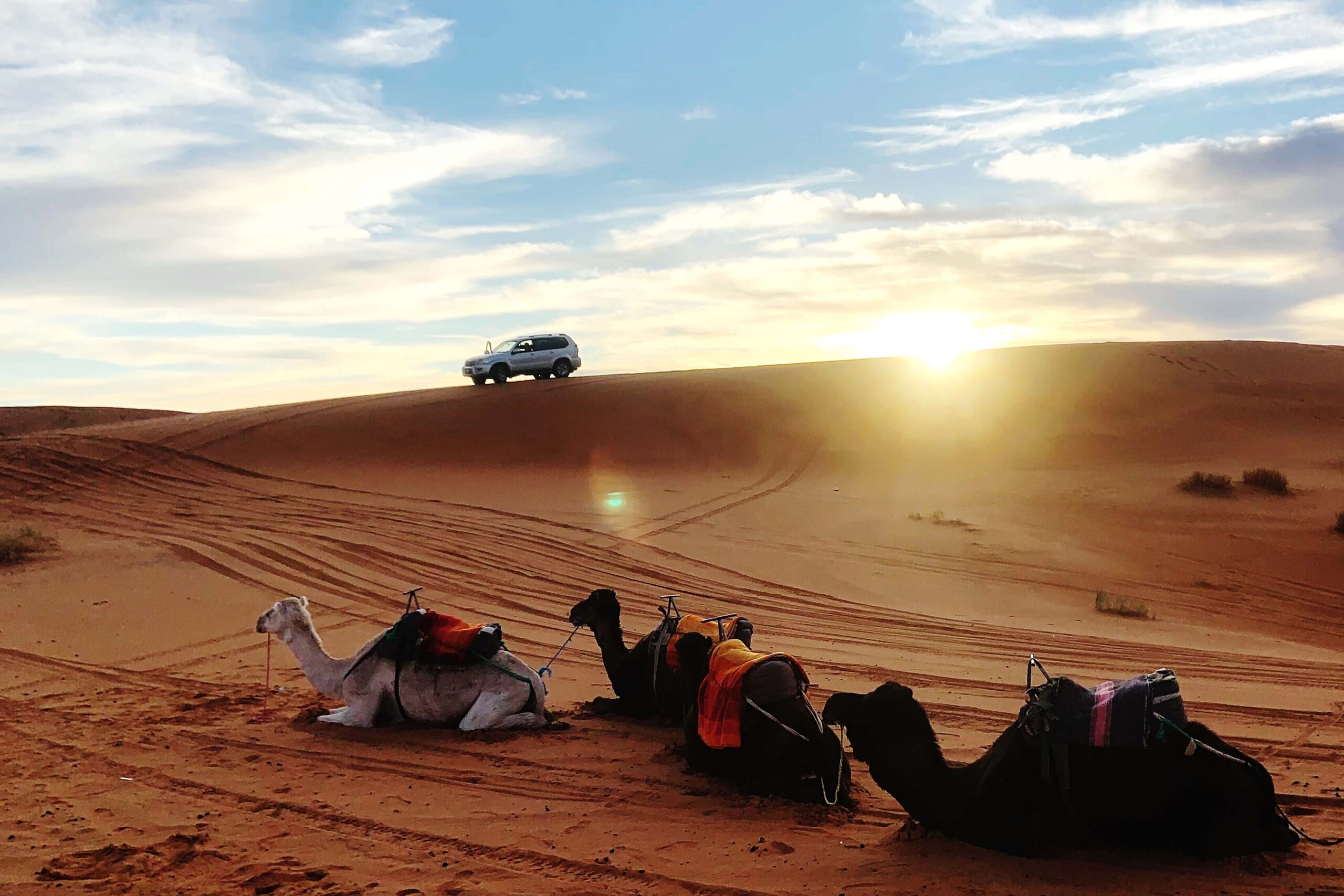 people-sitting-desert-against-sky-sunset (1)