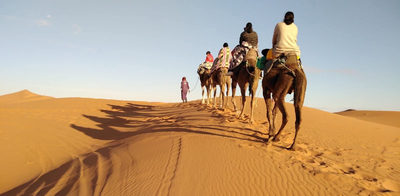Camel trek